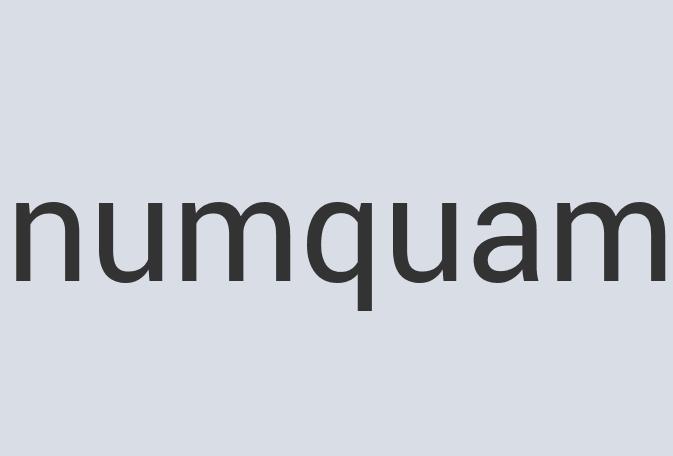 Durable Granite WebTex